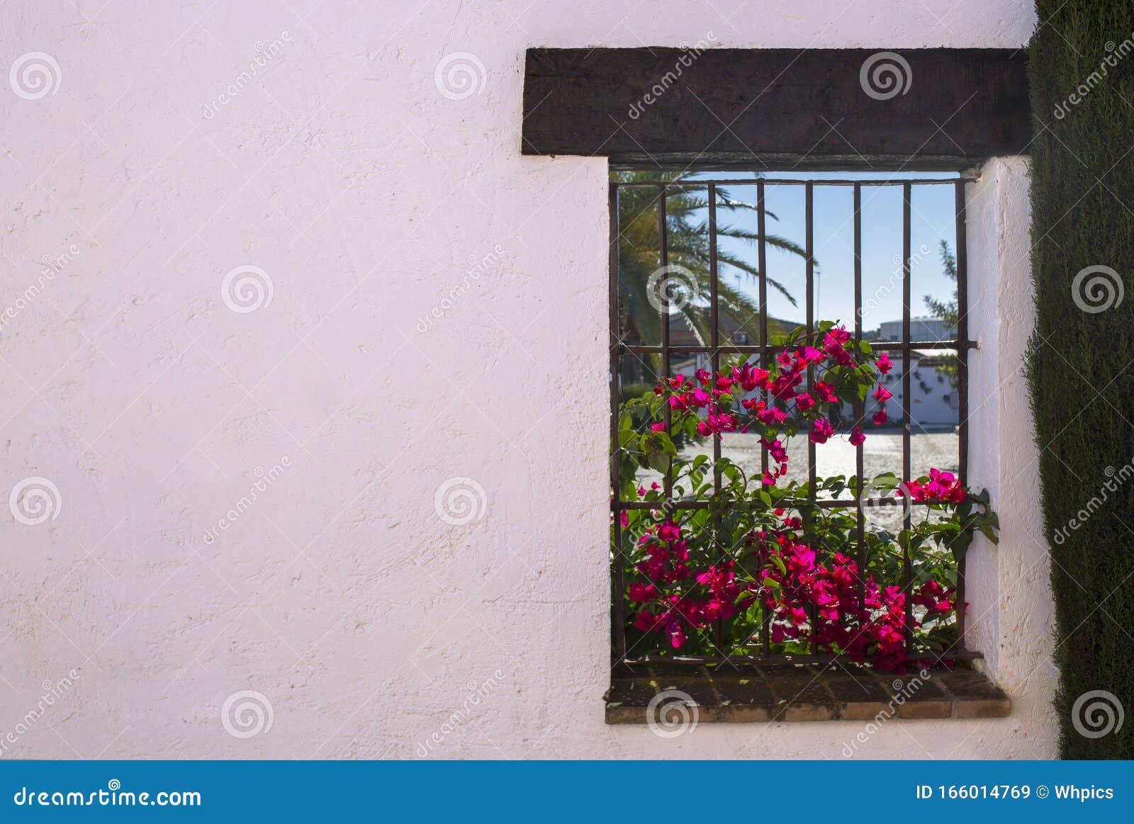 fuente palmera whitewashed walls and windows full of flowers, cordoba, spain