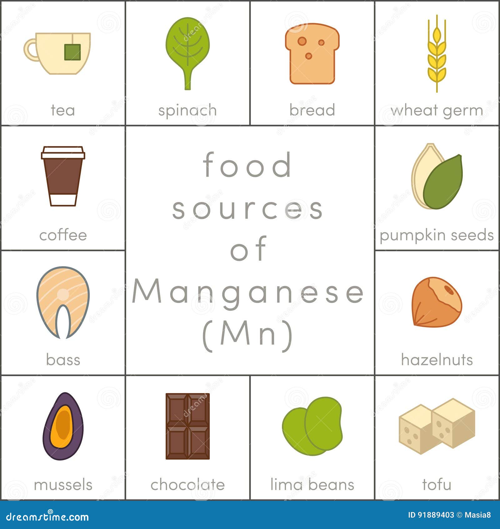 Fuentes De La Comida De Manganeso Stock De Ilustracion Ilustracion De Ventajas Germen 91889403