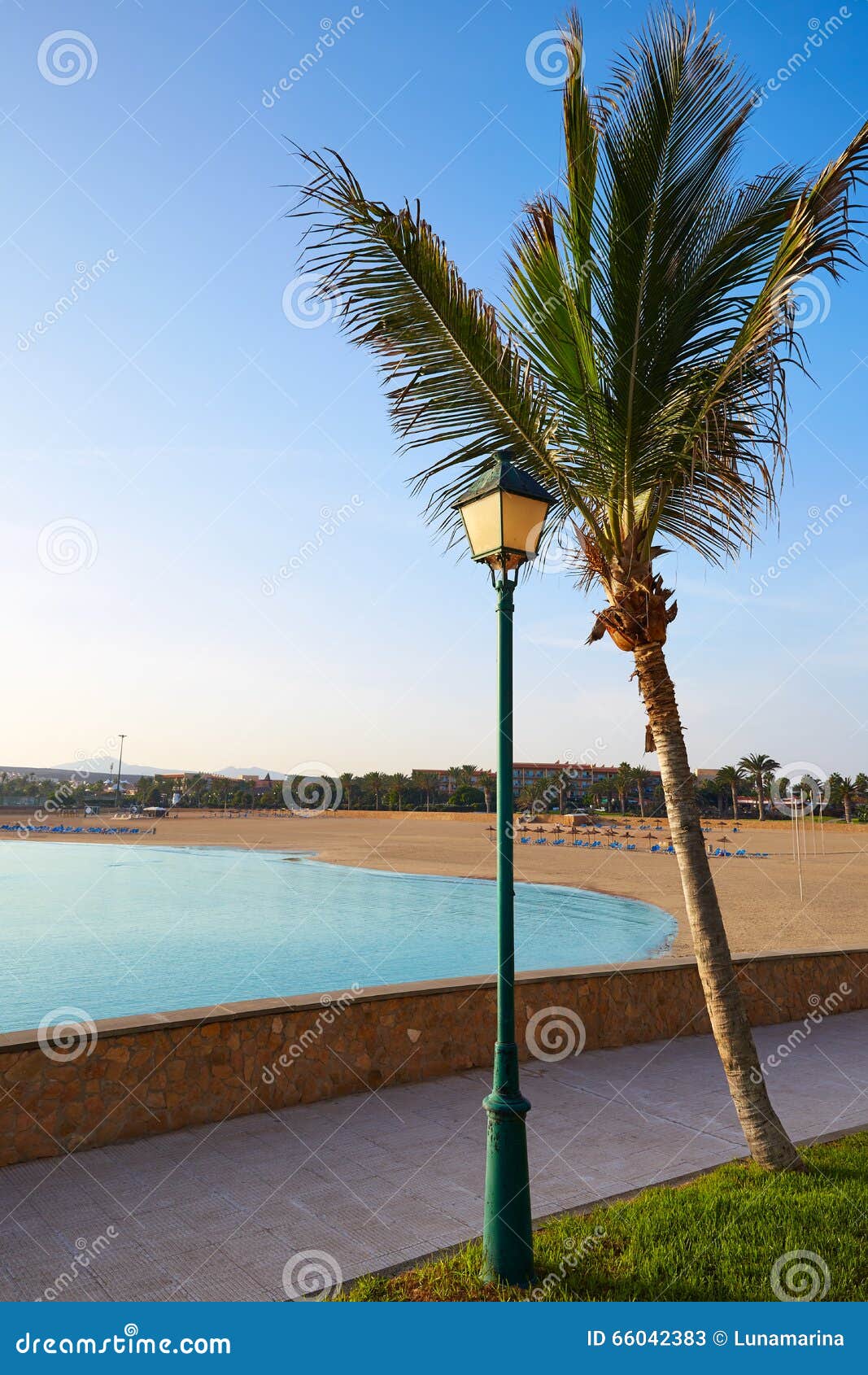 fuerteventura caleta del fuste canary islands