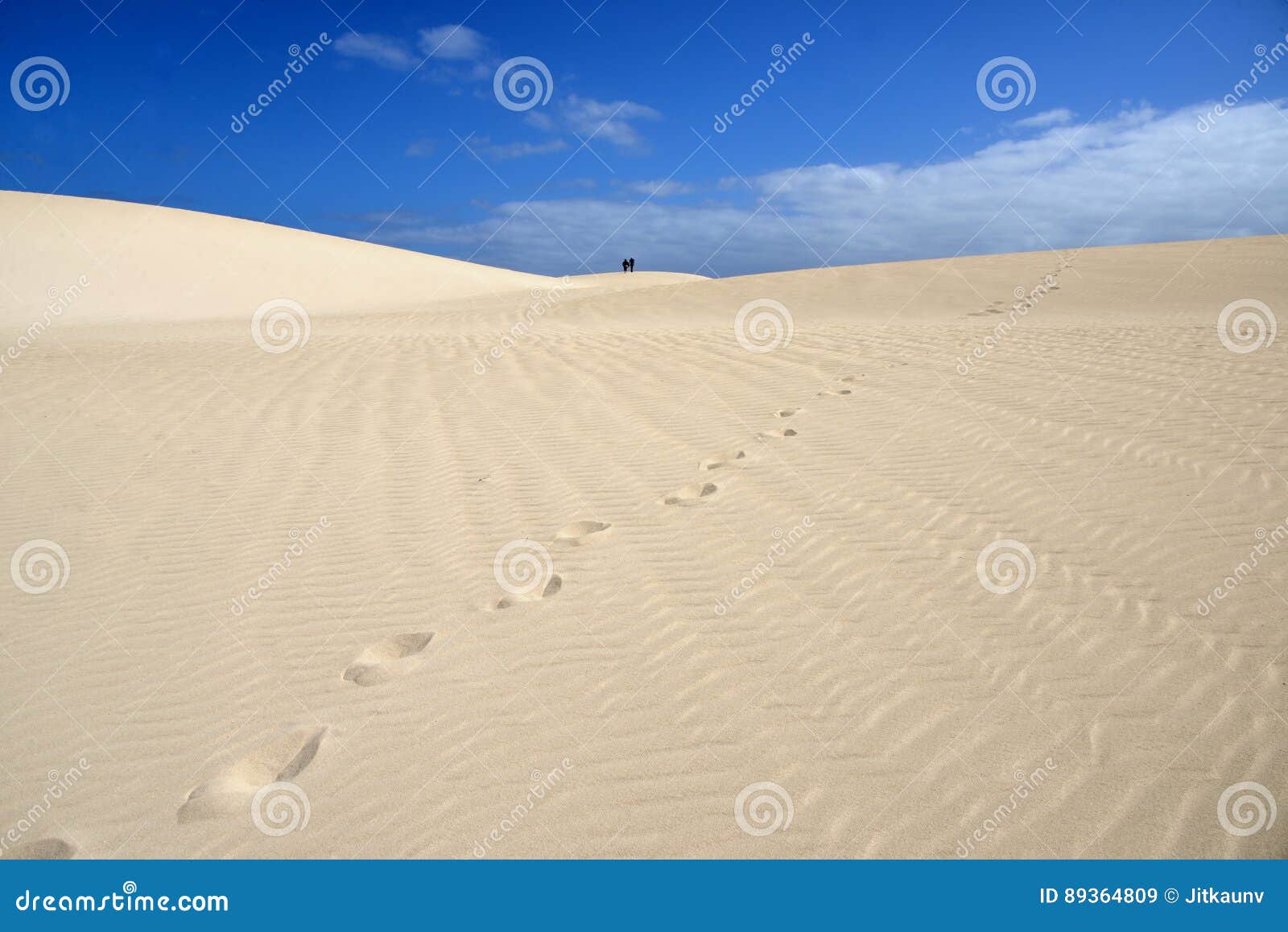 fuerteventura dunas