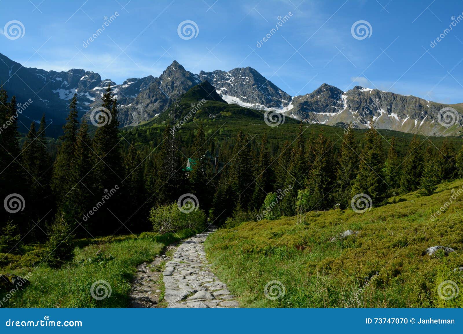 Fuga, picos e árvores no vale de Gasienicowa nas montanhas Zakopane próximo de Tatra no Polônia