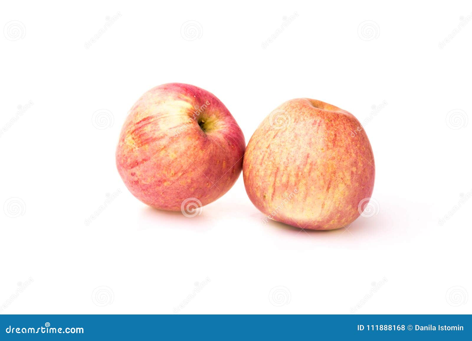 Fuji Apples with Drops of Water on White Background Stock Photo Image