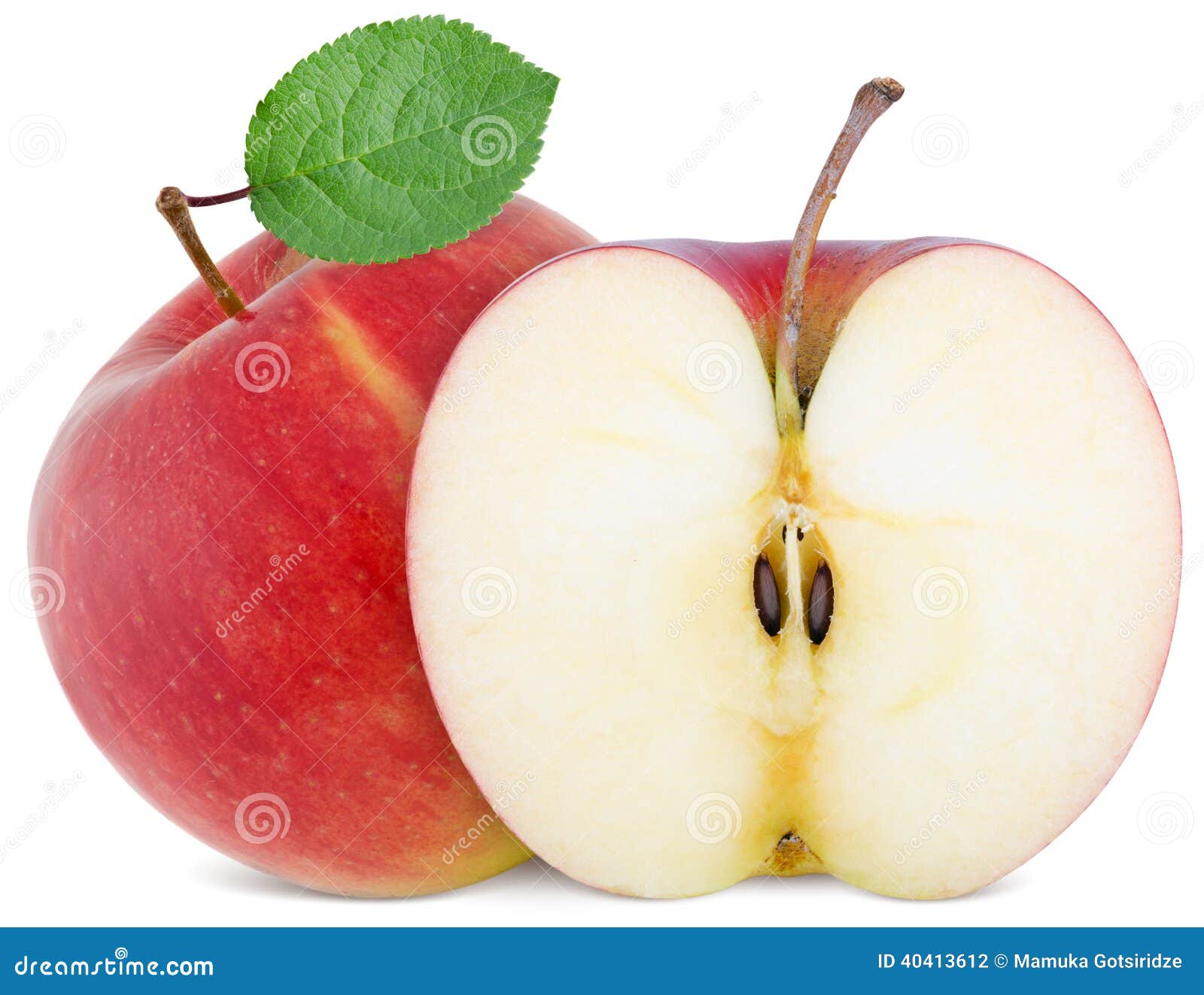 Full apple and cut slice stock photo Image of front Full apple and cut slice stock photo Image of front