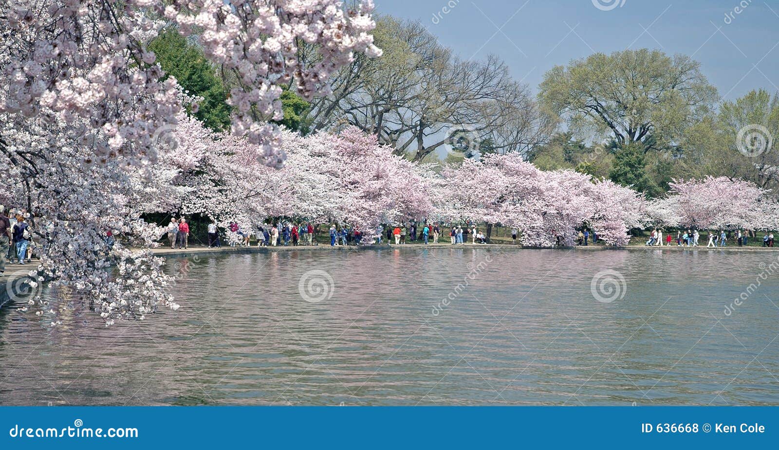free wifi tidal basin dc free wifi tidal basin dc