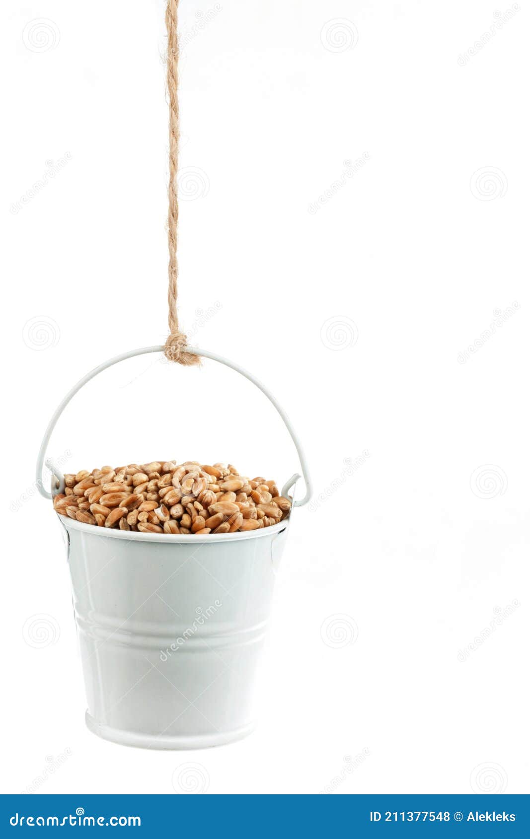 A Full Bucket of Wheat Grains Hanging from a Rope Stock Photo Image