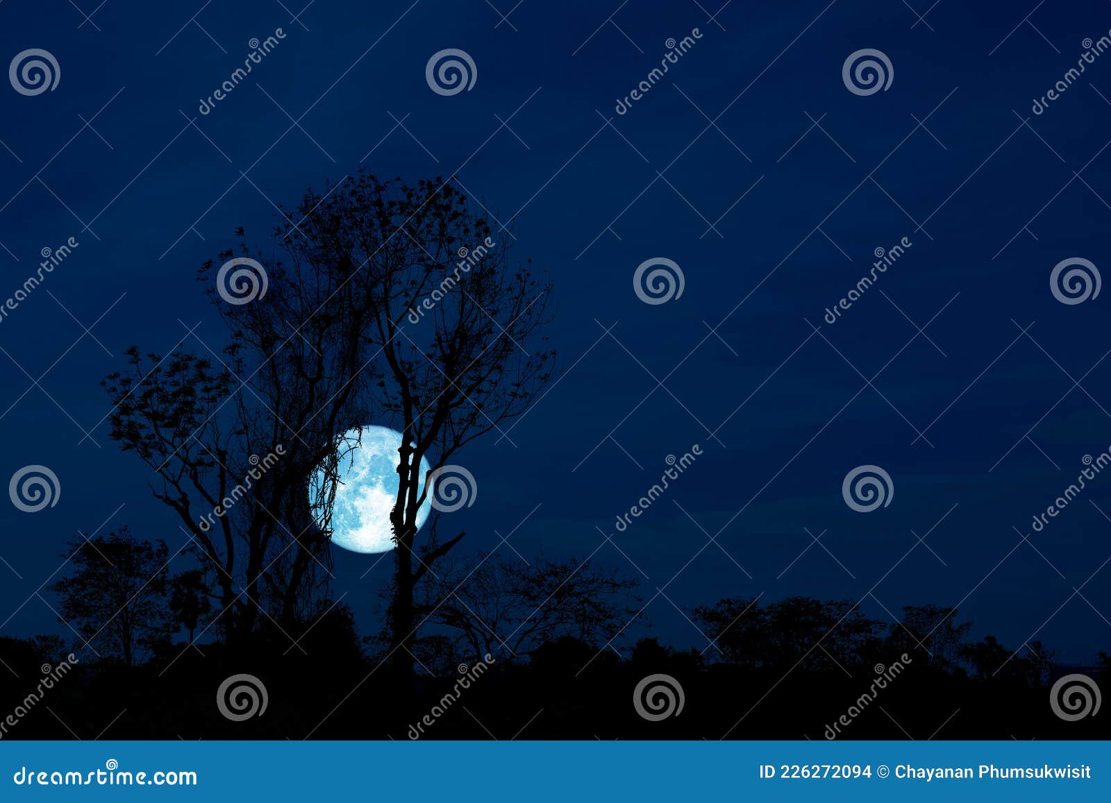 full crow moon and silhouette tree in the field and night sky