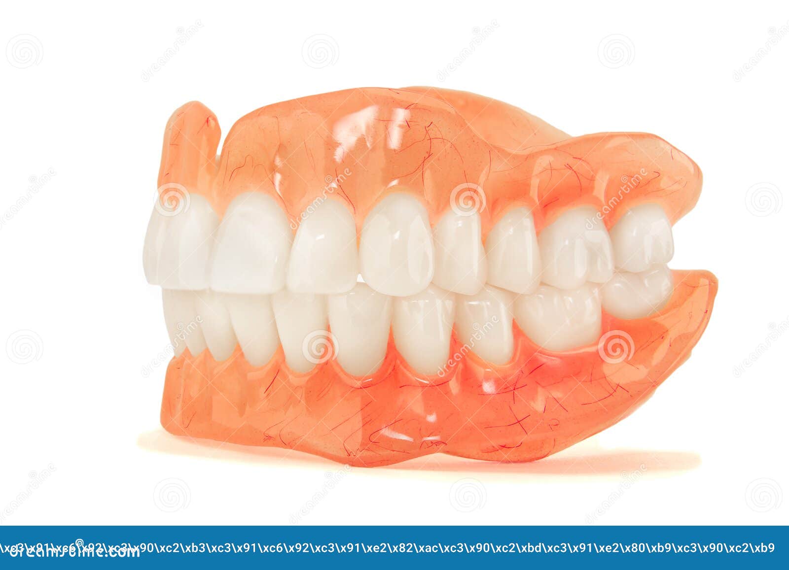 full denture dentures close-up. orthopedic dentistry with the us