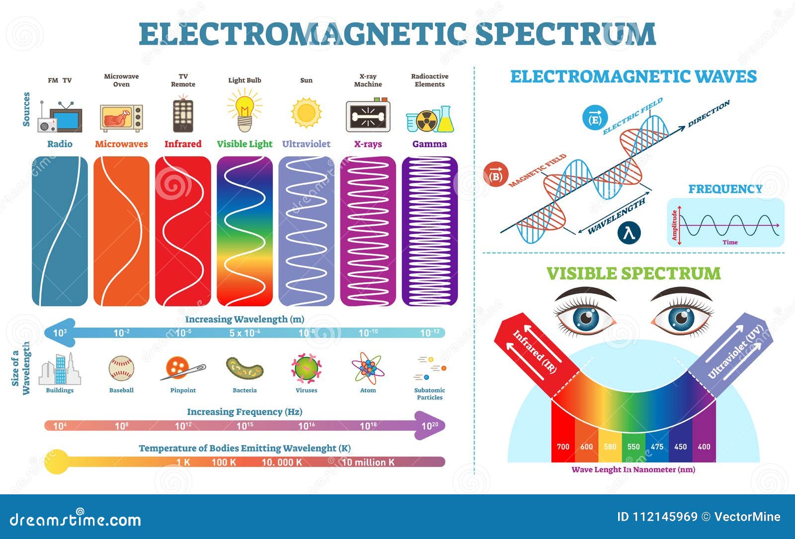 full electromagnetic spectrum information collection,   diagram. physics infographic s.
