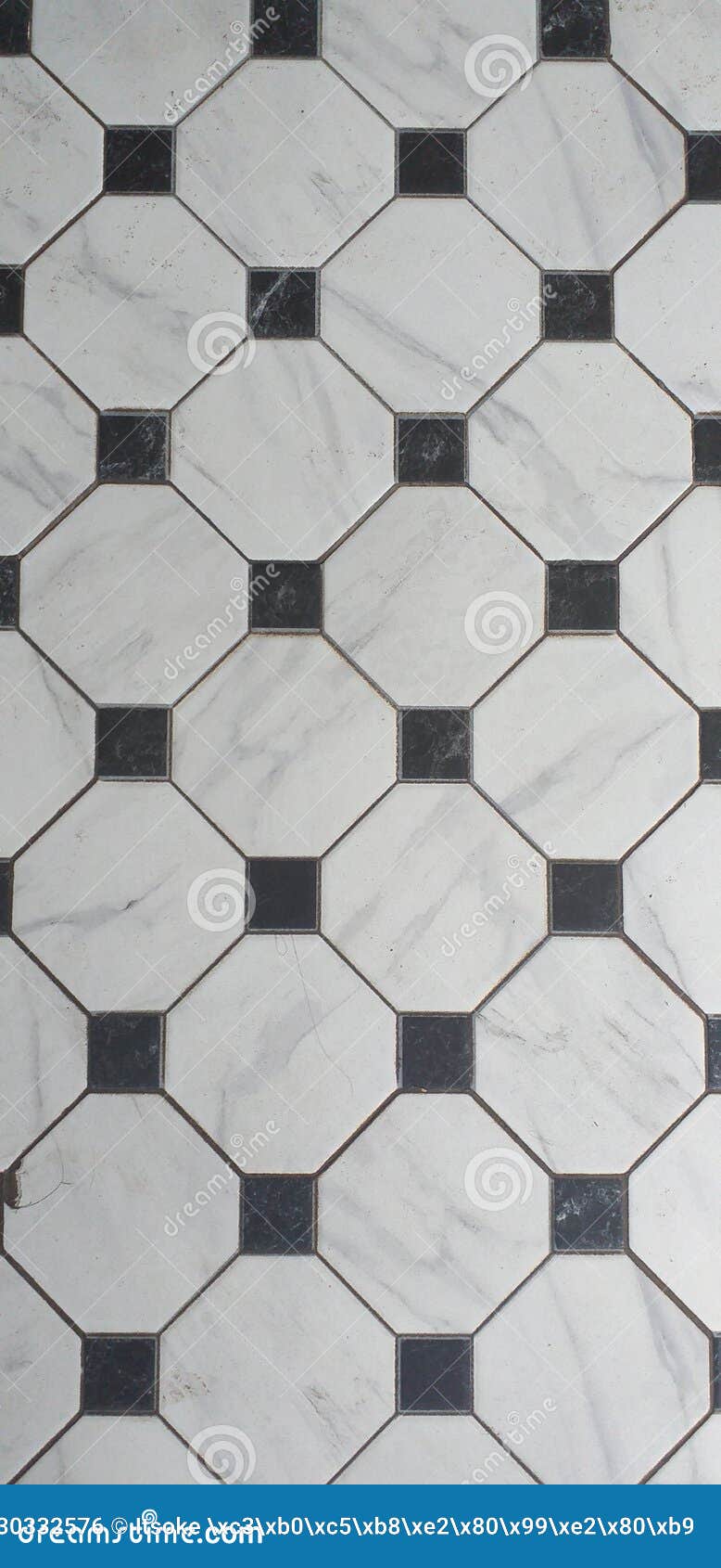 Black and White Square Octagon Ceramic Tile Pattern Stock Photo Image