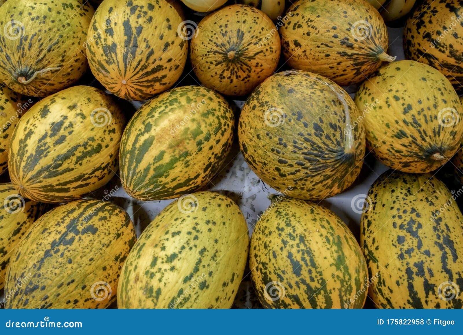 full freme melon