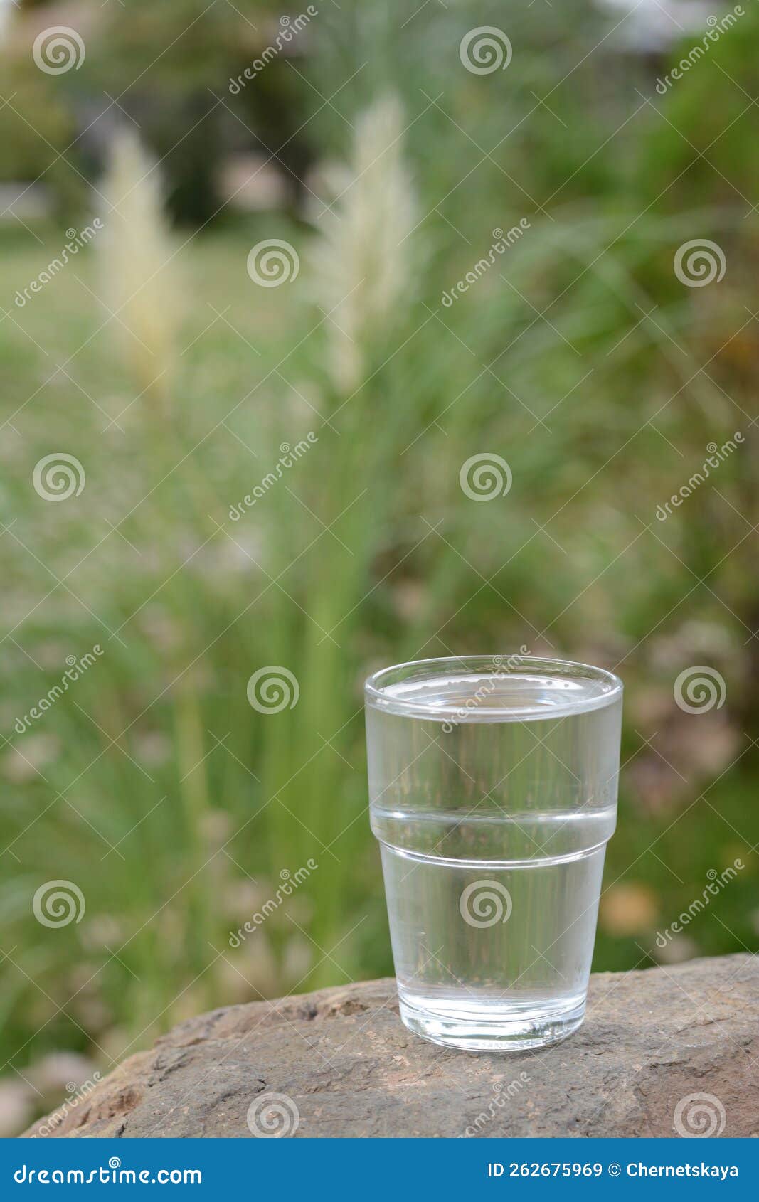 Full Glass of Water on Stone Outdoors, Space for Text Stock Image Image of health, nature