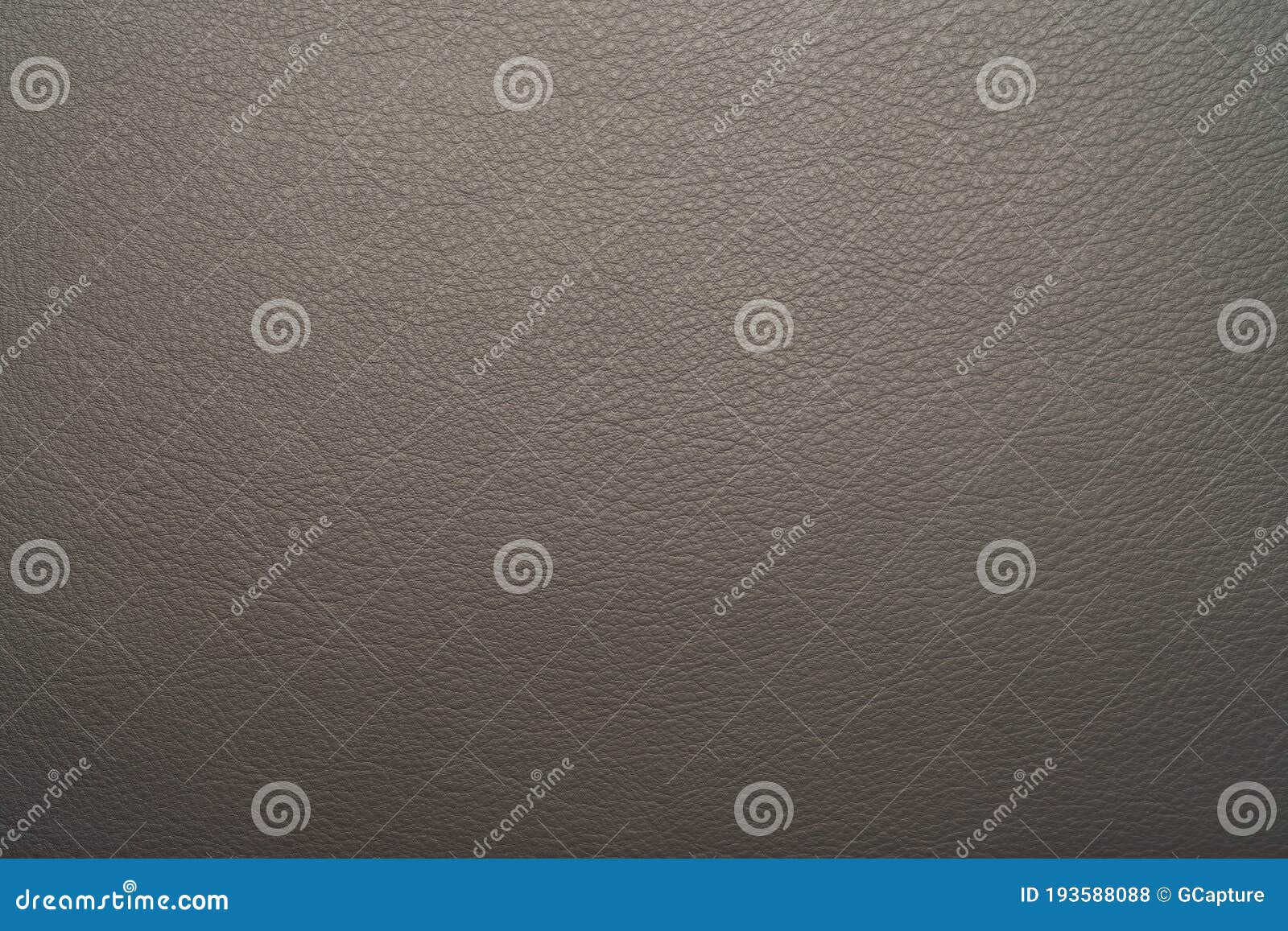 Leather Grain Texture