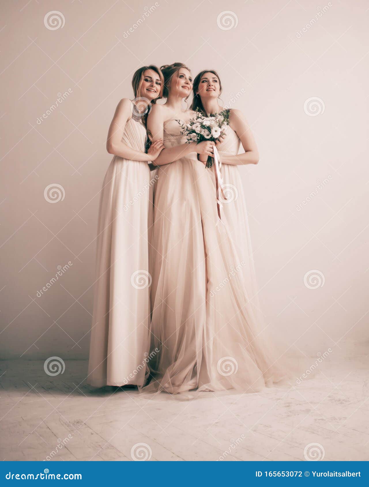 In Full Growth.three Beautiful Girls in Dresses for the Wedding ...