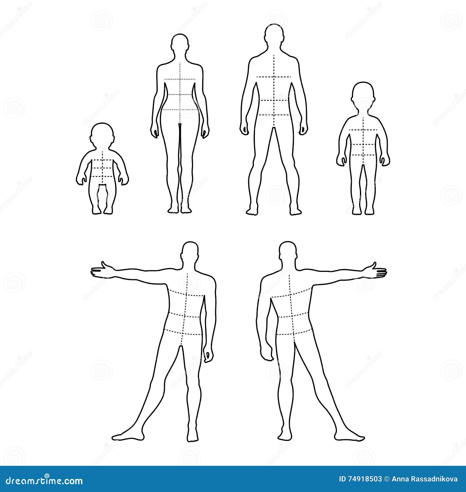 sketch of human body front and back