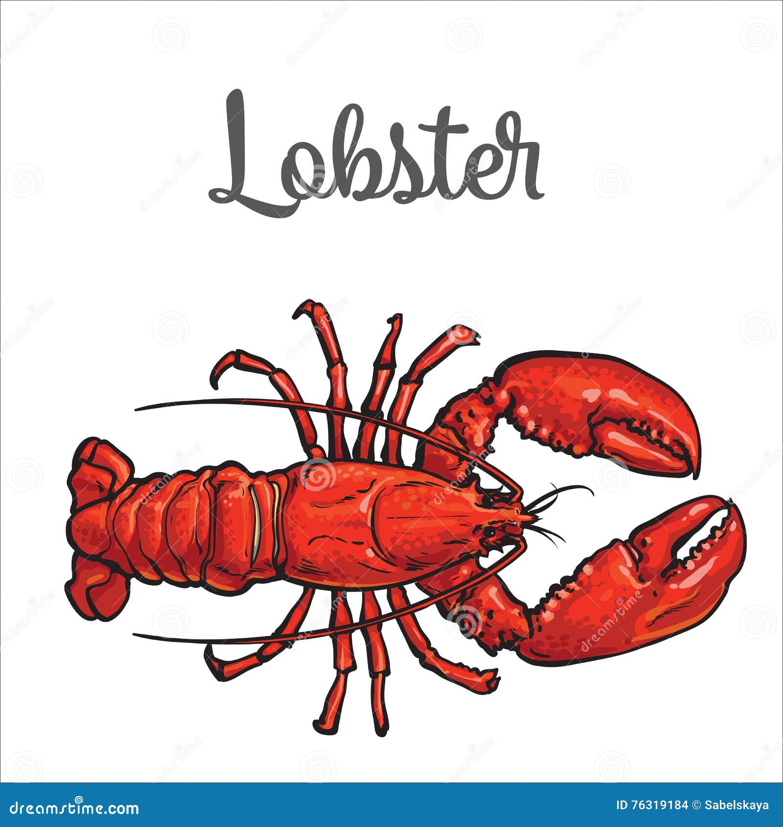 Lobster Pencil Drawing Stock Illustrations  76 Lobster Pencil Drawing  Stock Illustrations Vectors  Clipart  Dreamstime