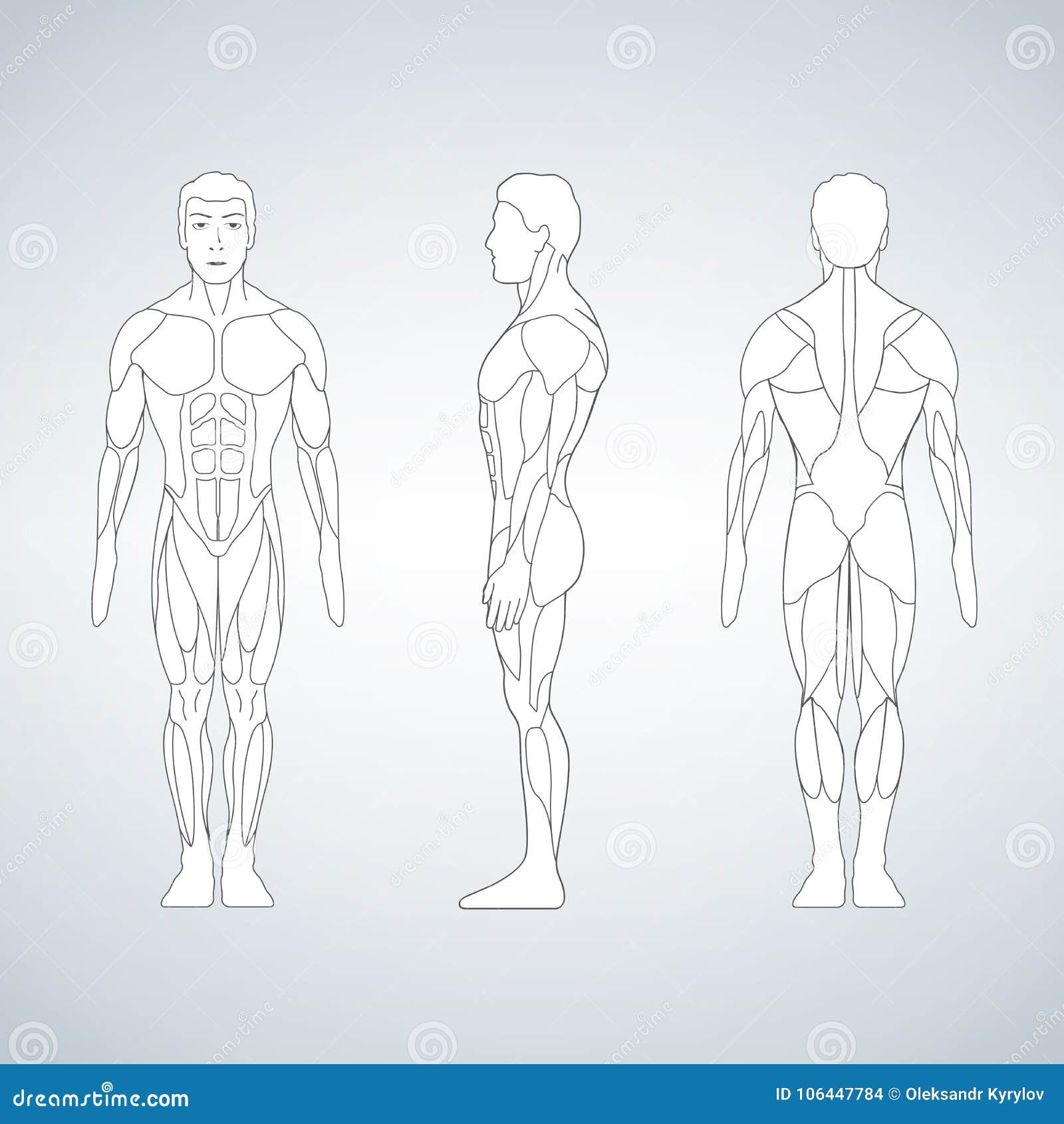 All 24+ Stock Images front back side to side front front back back side to side Sharp All 24+ Stock Images front back side to side front front back back side to side Sharp