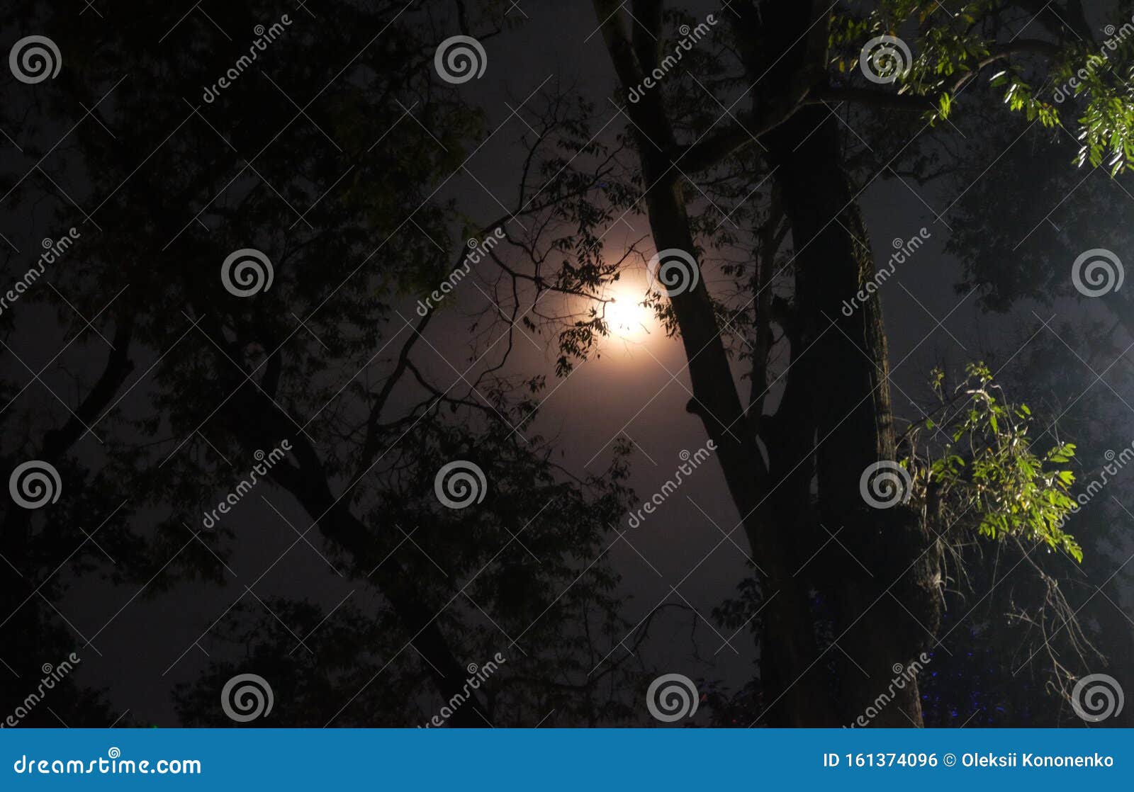 A Full Moon Emits Light in the Night Sky. Moonlight Shines through the