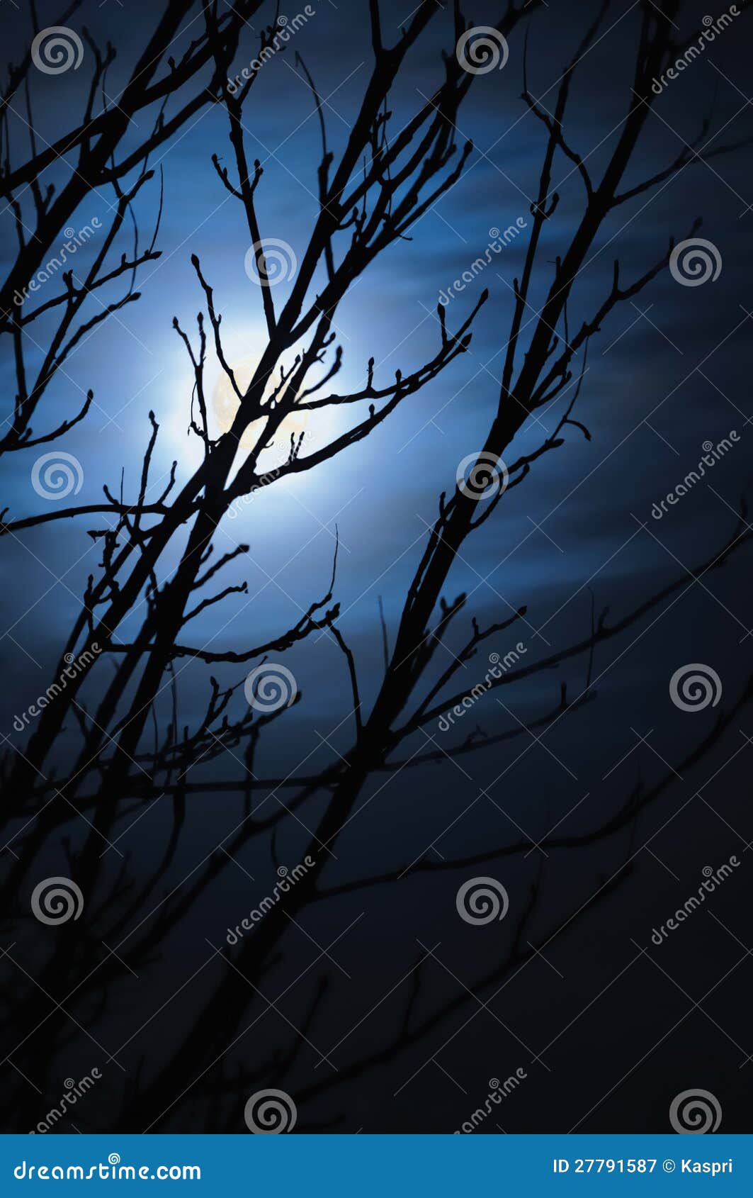 full moon foggy night naked leafless trees