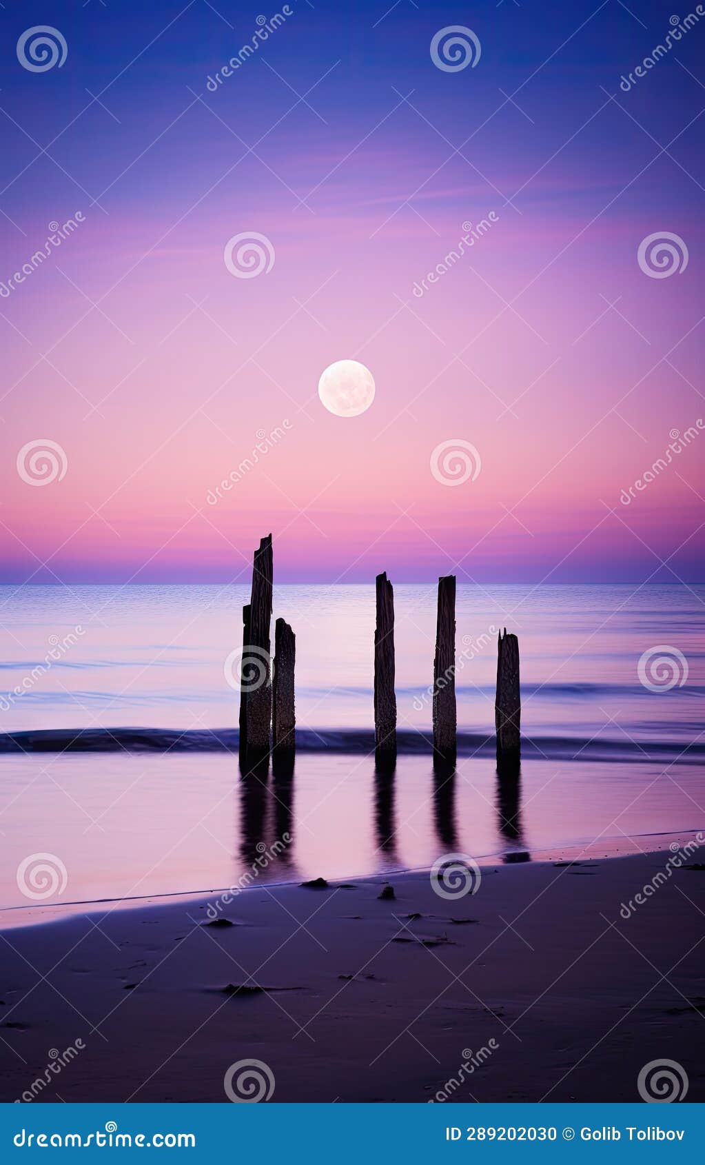 Full Moon Over the Ocean at the Beach Stock Photo - Image of apparatus ...