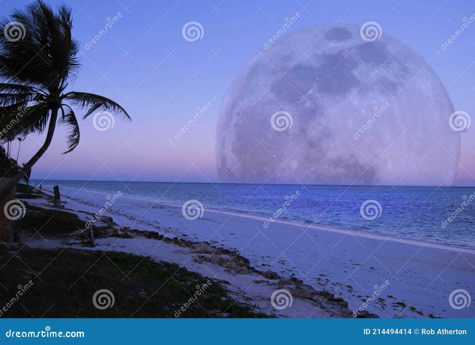 A Full Moon Over the Tropical Island of Zanzibar Stock Photo Image of