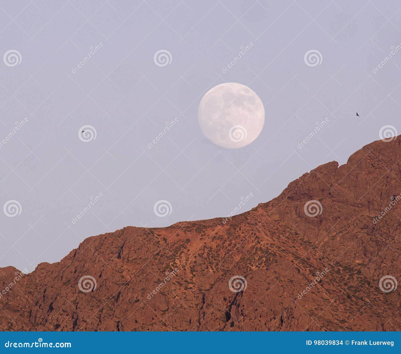 My Image 9