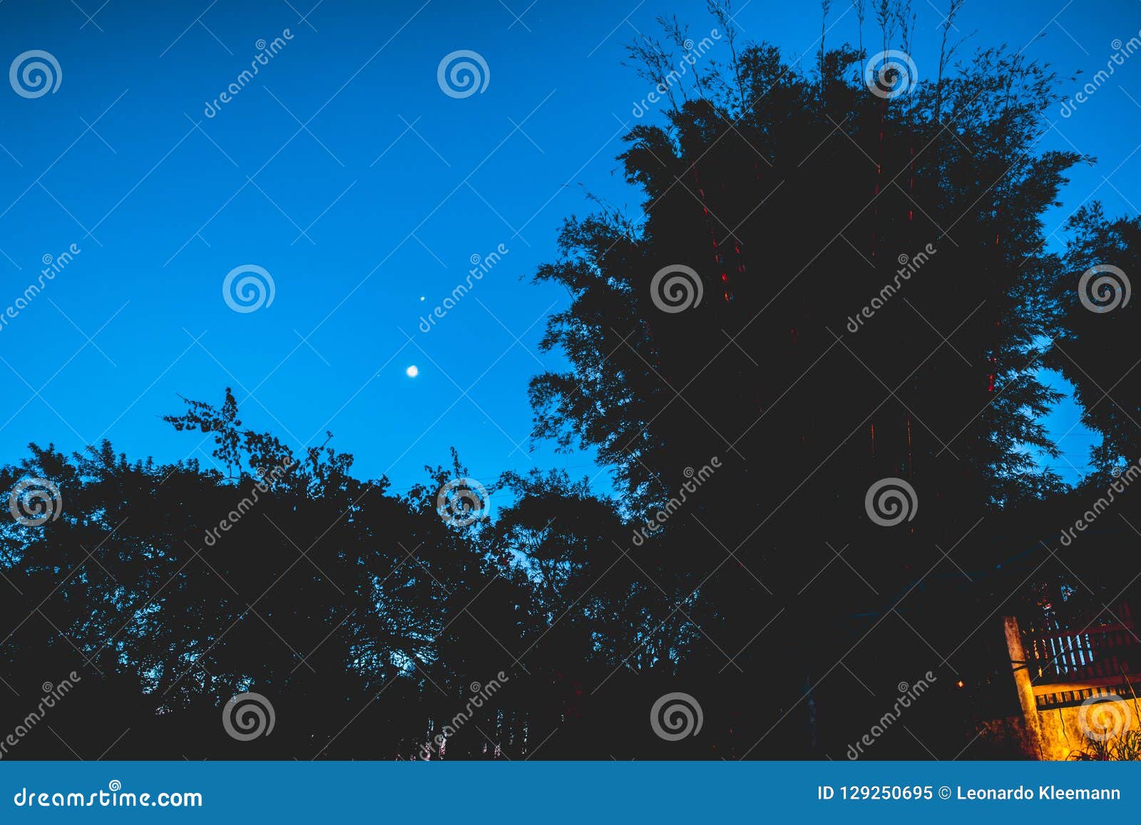 Full Moon and Tree Branches Stock Image - Image of branch, season