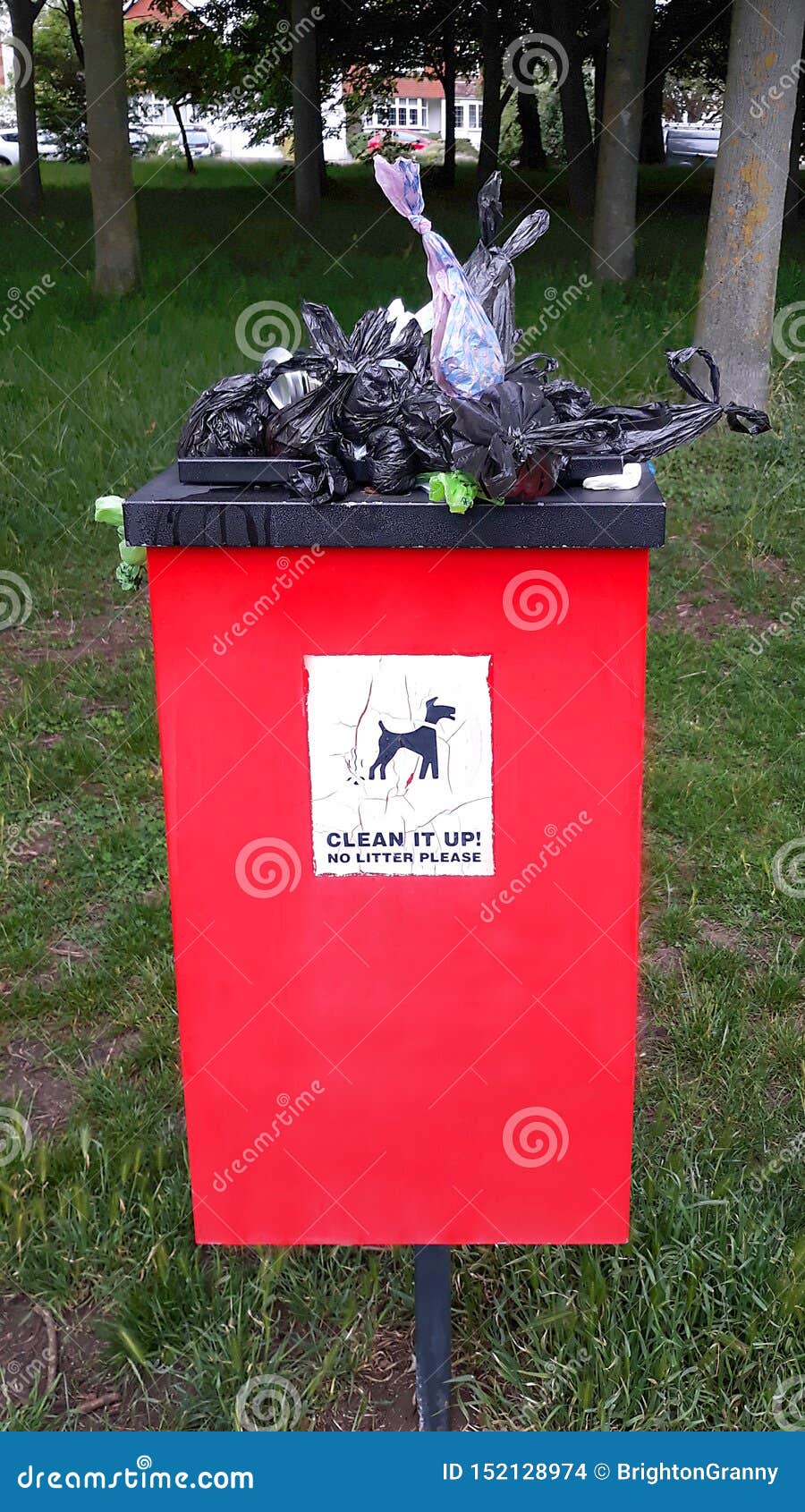 Overflowing Dog Waste Bin in Park Stock Photo Image of refuse