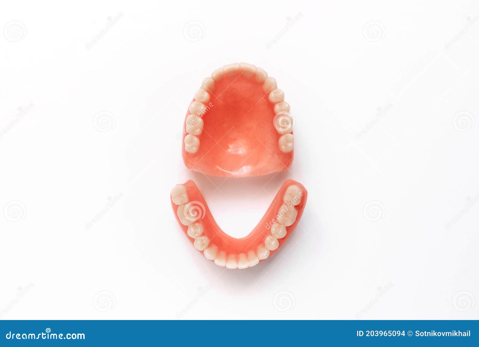 Full Removable Plastic Denture of the Jaws. Set of Dentures on a White