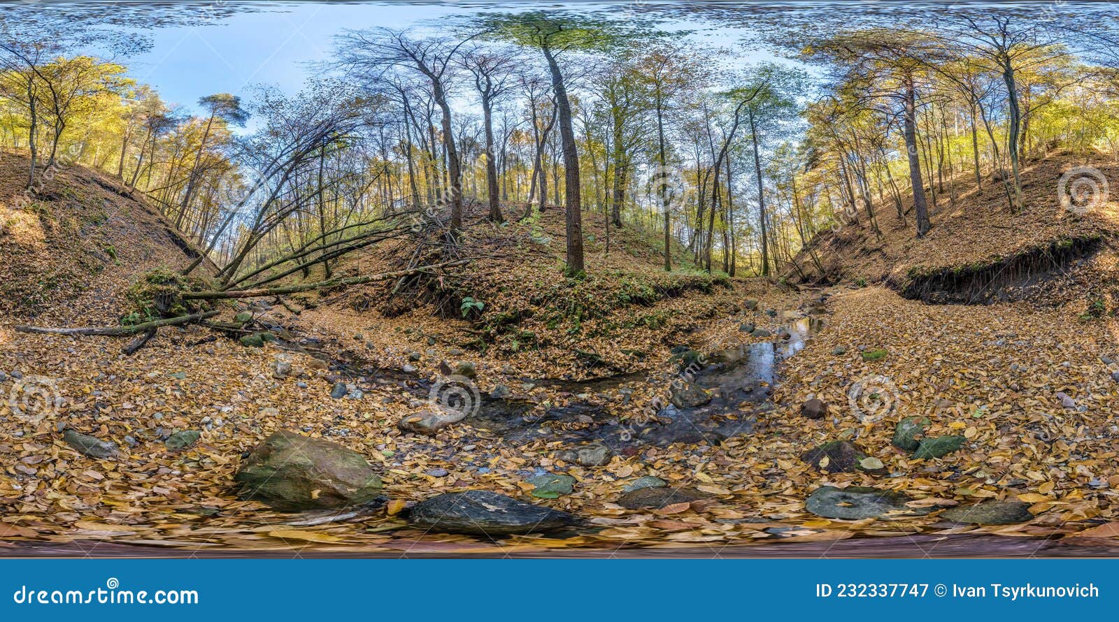 full seamless hdri 360 panorama high in mountains near stream in tree-covered ravine in autumn forest equirectangular spherical