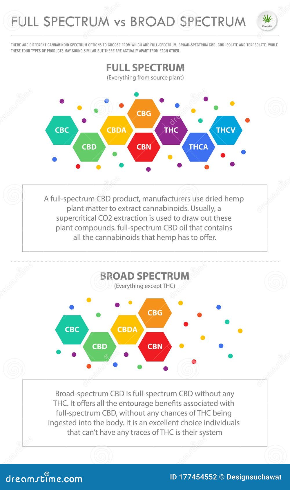 full spectrum vs broad spectrum vertical business infographic