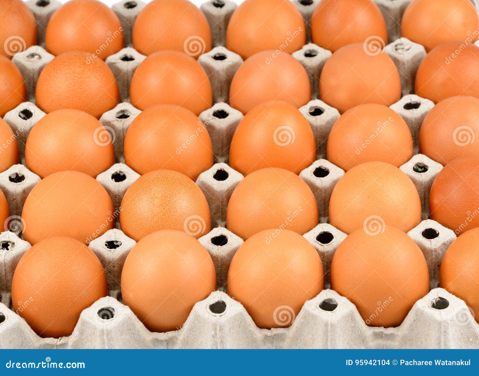 Full Tray of Freshly Laid Free Range Organic Eggs, Fresh Eggs Stock