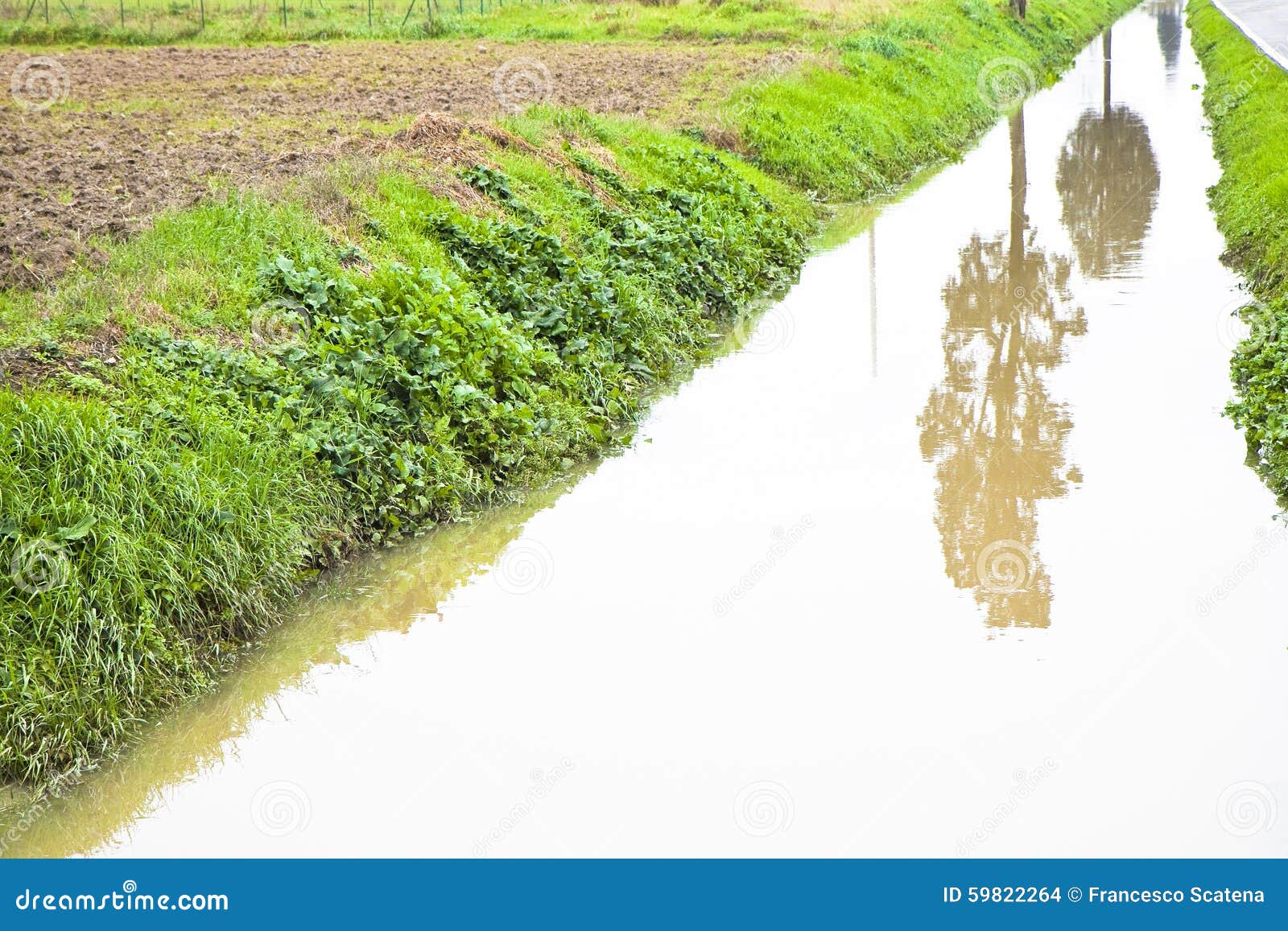 Full Water Ditch in a Field Stock Photo Image of land, alluvial 59822264