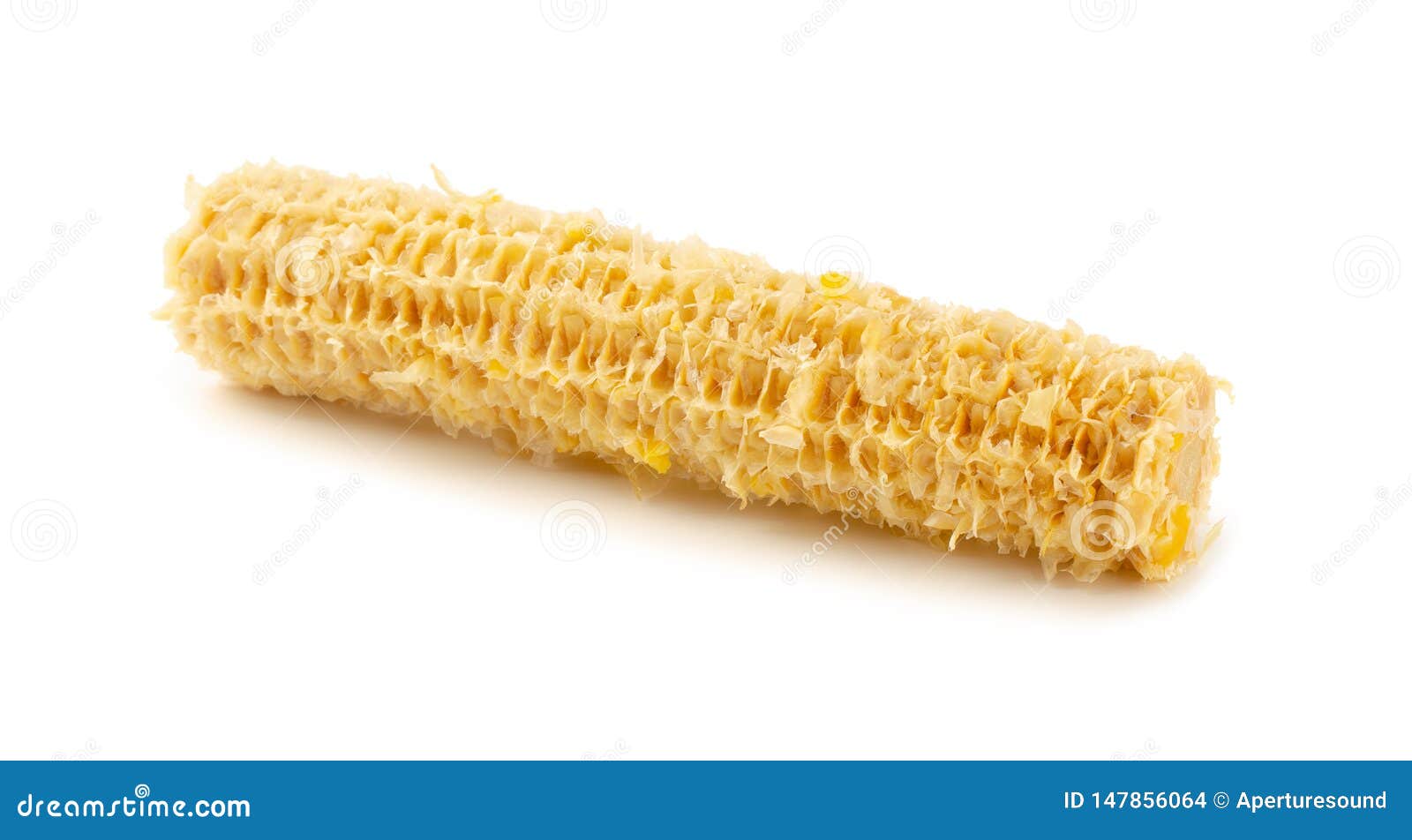 How to Make Homemade Toilet Paper OT Lounge