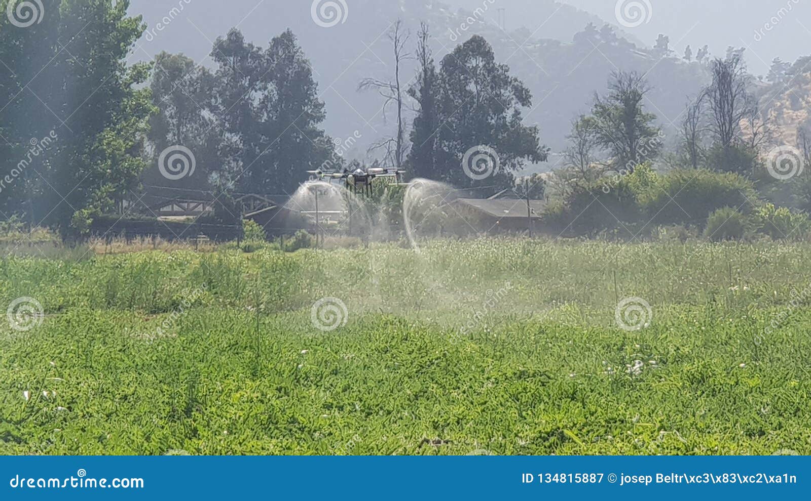 Fumigator del fuco per la marca di tta di agricoltura. Fuco che applica i prodotti chimici per l'agricoltura alle angurie con la diffusione di insetticida