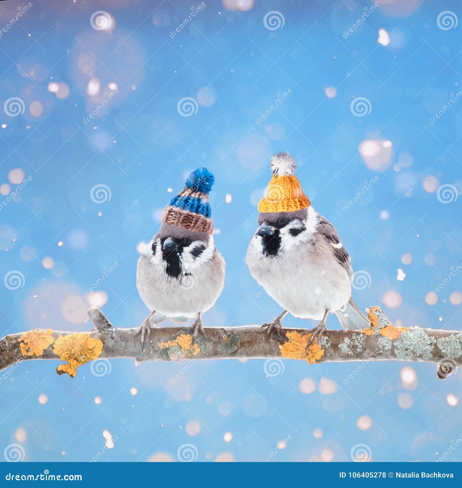 A Fun Bright Card with a Pair of Cute Birds Sparrows in Color Kn ...