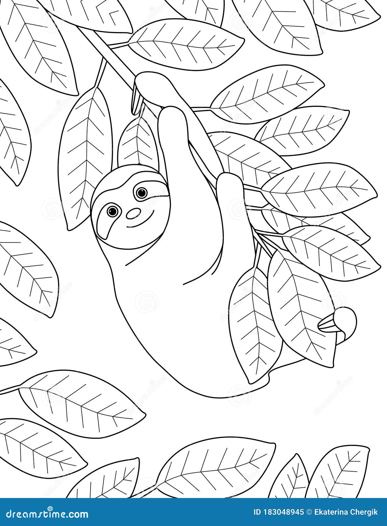 Fun Coloring Book with the Cute Sloth. Stock Vector   Illustration ...