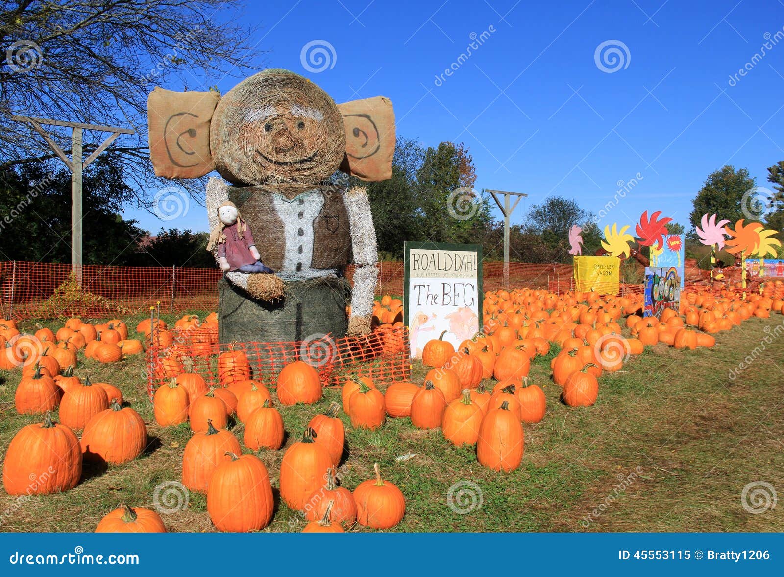 Fun Pumpkin Patch Display Sunnyside Gardens Saratoga Springs New