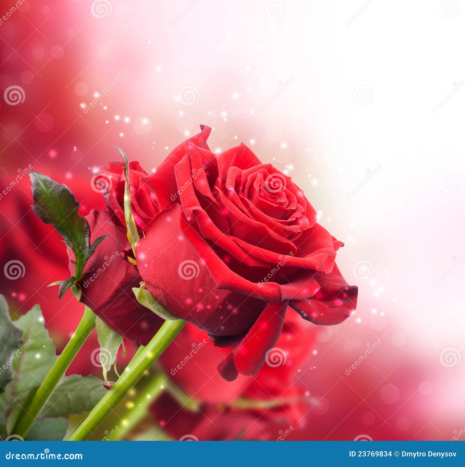Fundo com rosas vermelhas foto de stock. Imagem de feriados - 23769834, image size:1600x1606