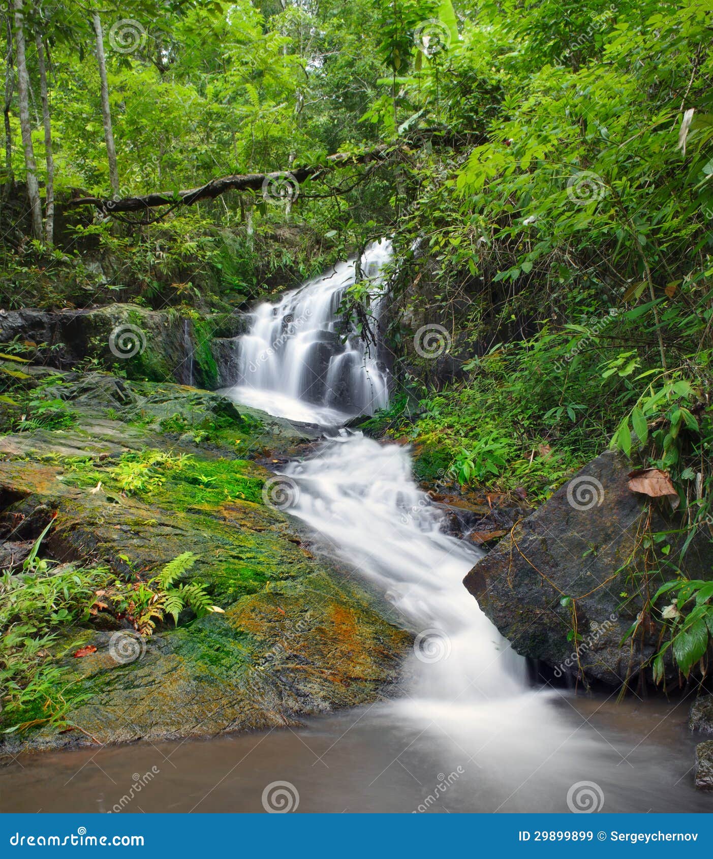 Uma cachoeira na floresta com um fundo verde