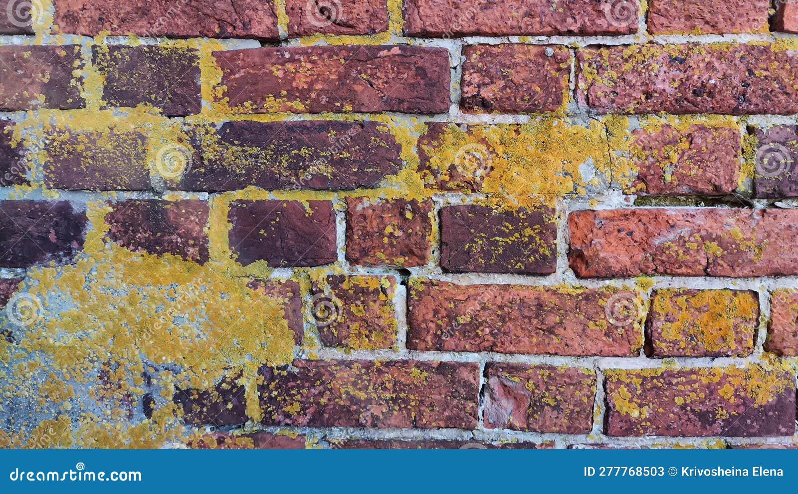 Quadro em Tela Cinza antigo muro de pedra, fundo textura de foto 