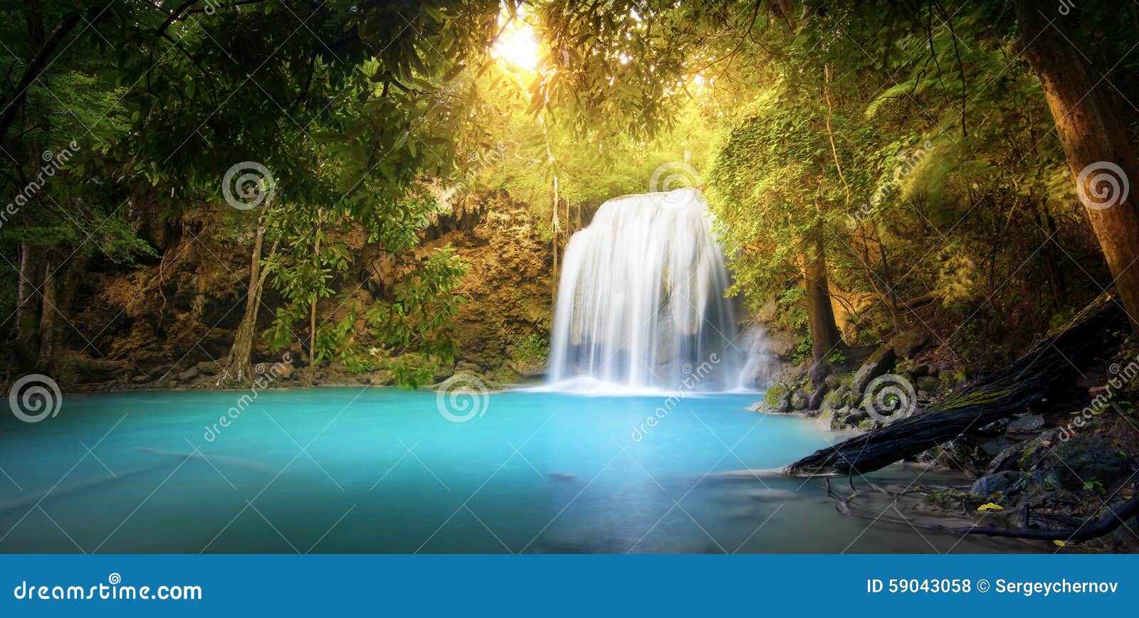 Cachoeira na selva da floresta pode ser usada como fundo de