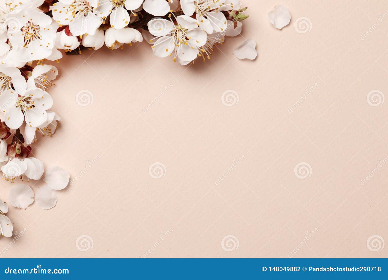 Spring Floral Background Wallpaper –