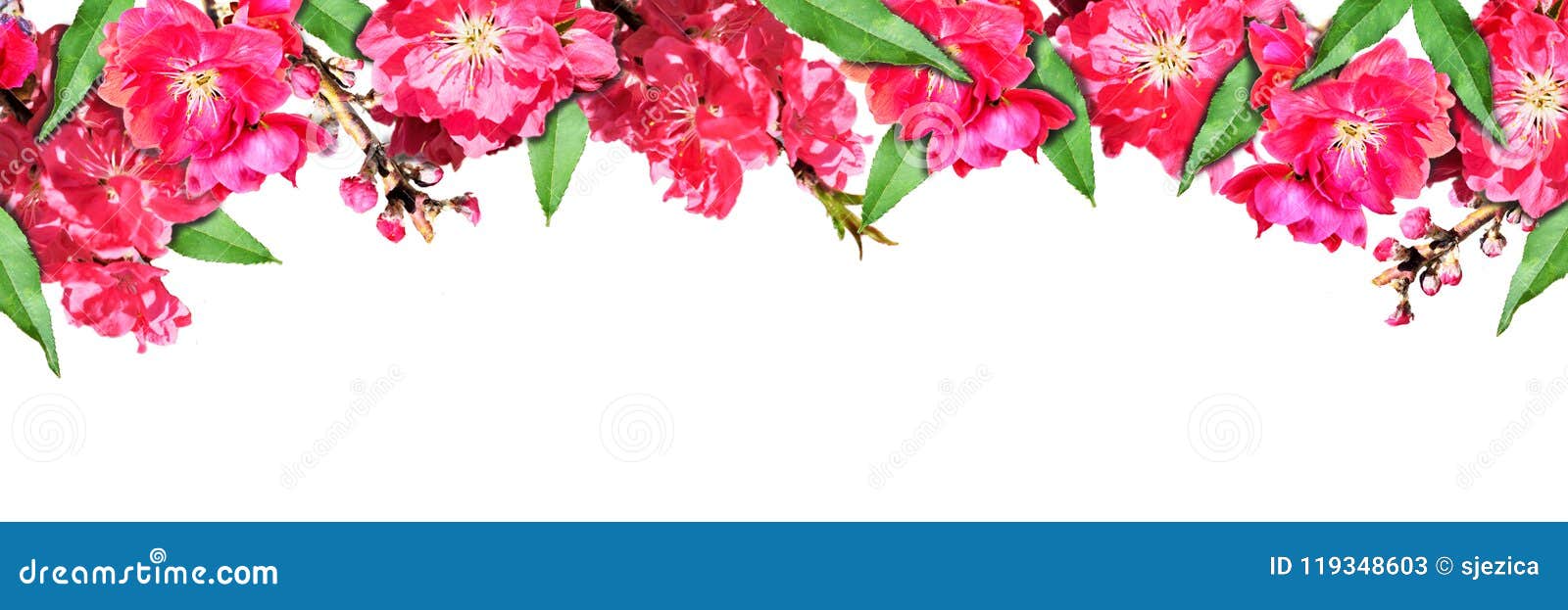 Fundo Natural Com Flores E Folhas Do Pêssego Imagem de Stock - Imagem de  fundo, bandeira: 119348603