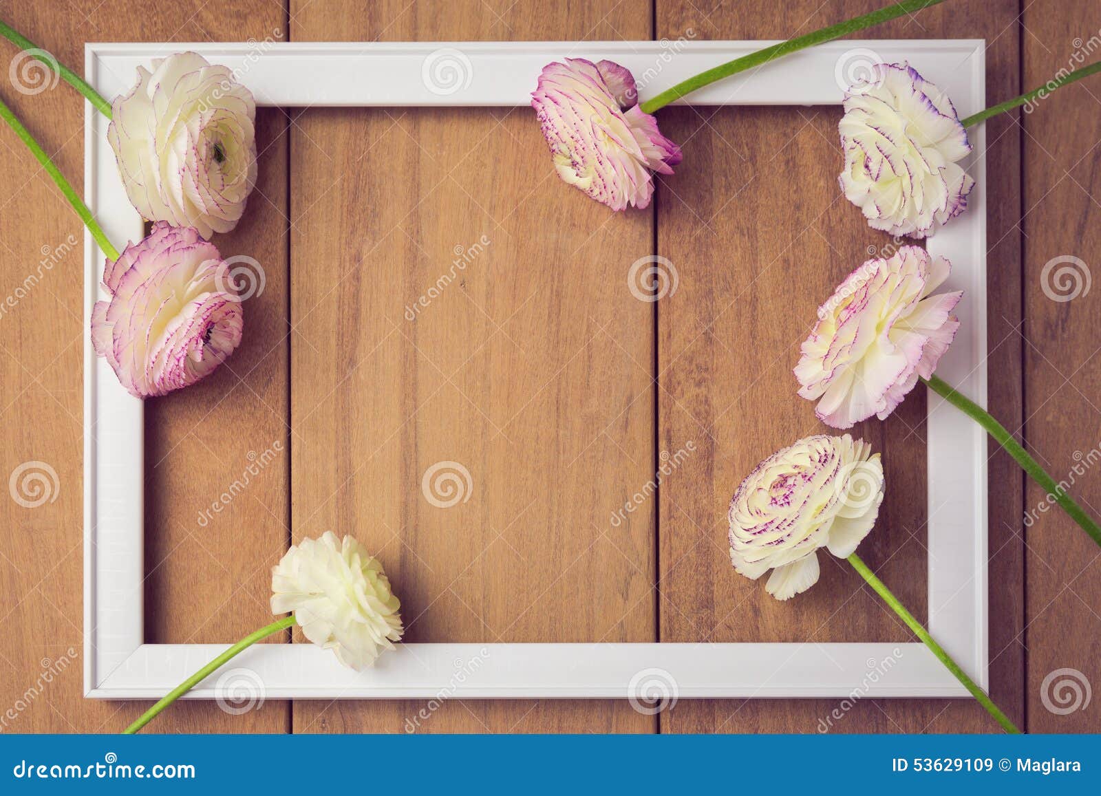 Featured image of post Flores Moldura Flores Fundo Para Convite De Casamento Feita especialmente pra deixar registrado um momento especial da sua vida