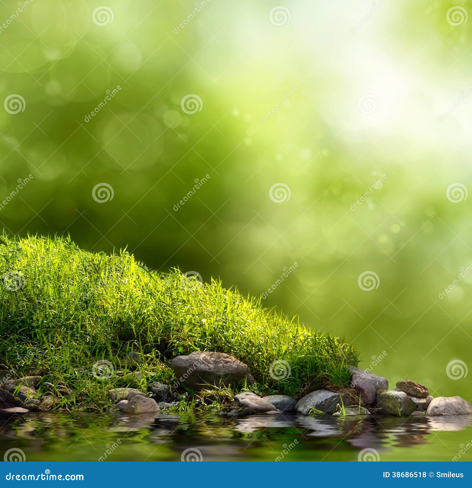 Fundo natural verde foto de stock. Imagem de foco, parque - 38686518, image size:1600x1655