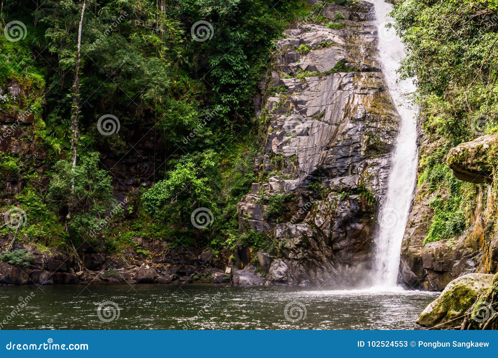 Uma cachoeira na floresta com um fundo verde