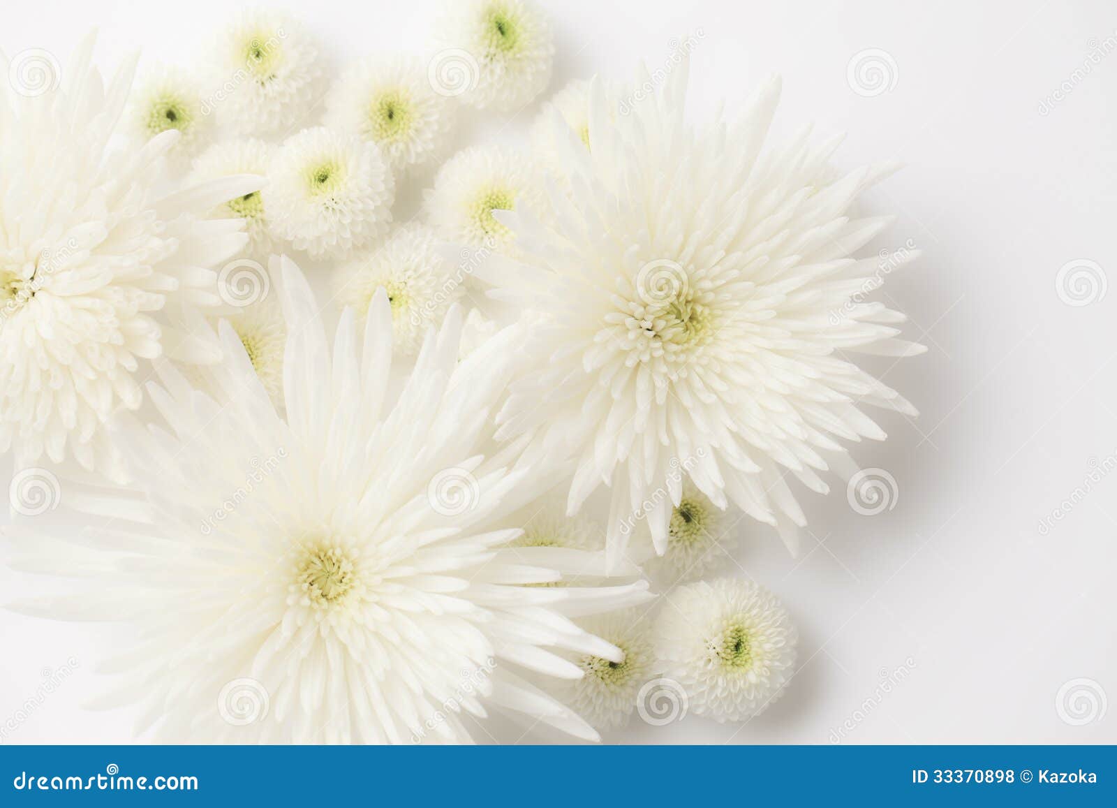 free funeral flower clip art - photo #45