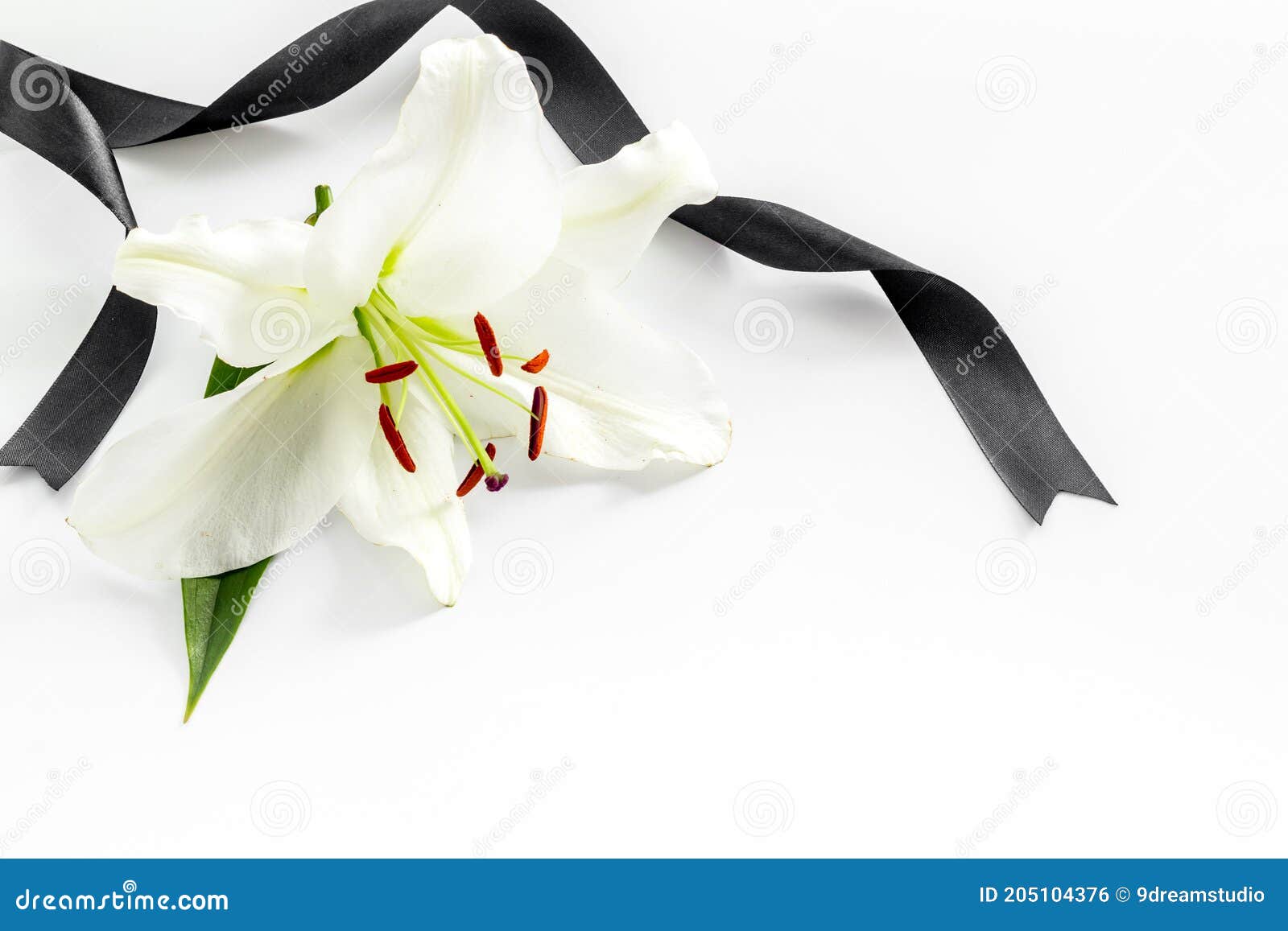 stock photo. Image of faith, background, white, sorrow - 205104376