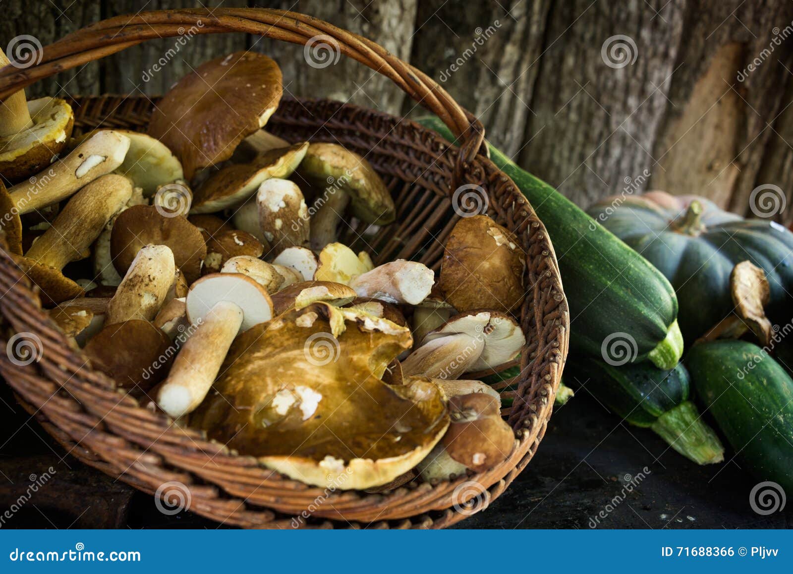Funghi Di Porcini, Zucchini E Una Zucca Fotografia Stock Immagine di italiano, buongustaio