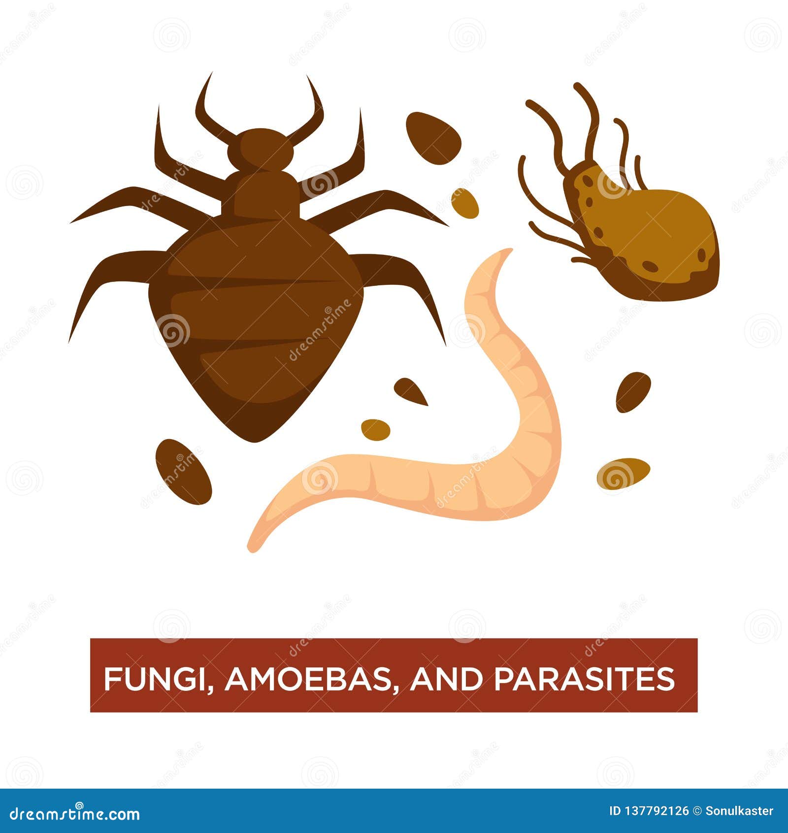 parasite infection